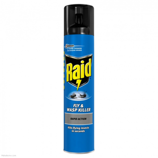 Raid Rapid Action Fly & Wasp Insect Killer 300ml